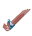 9 Pcs Star L-Key Set (Medium)
